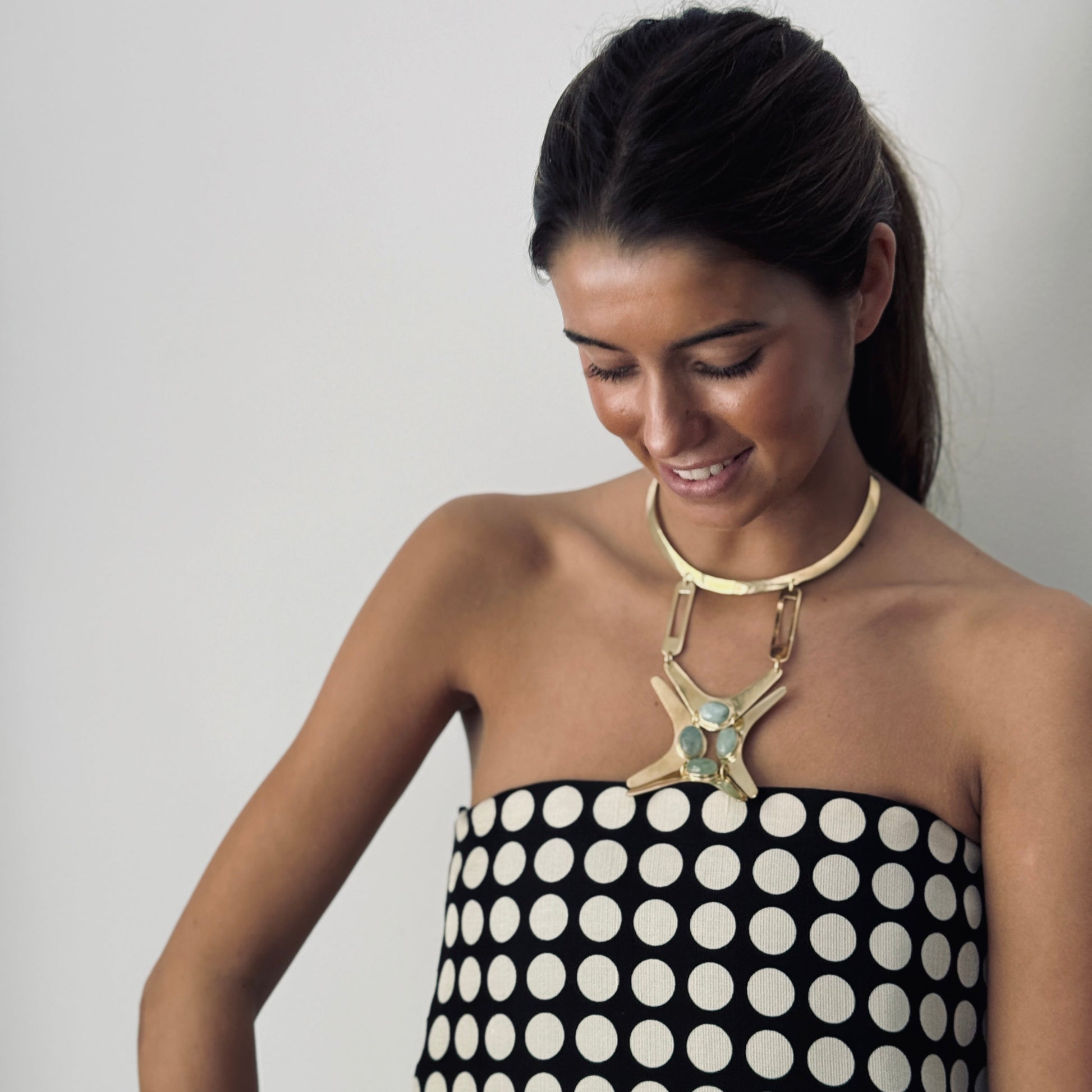 Collar AquaMod II
