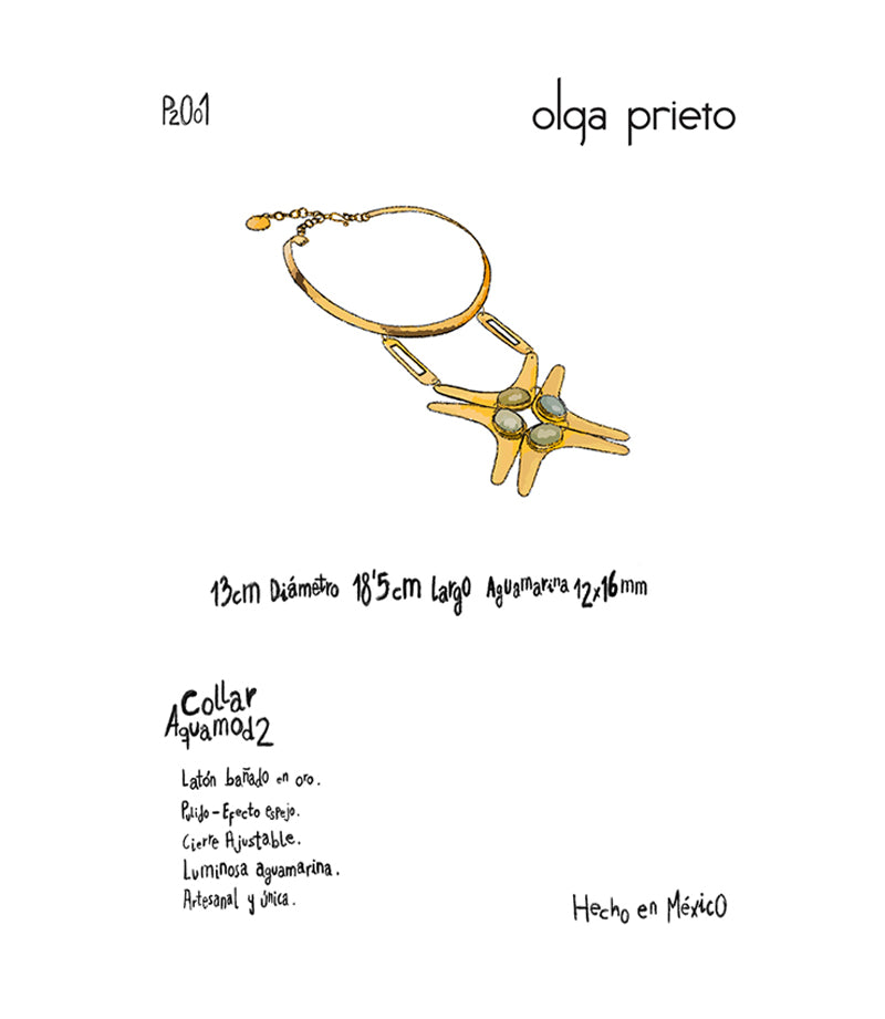 Collar AquaMod II